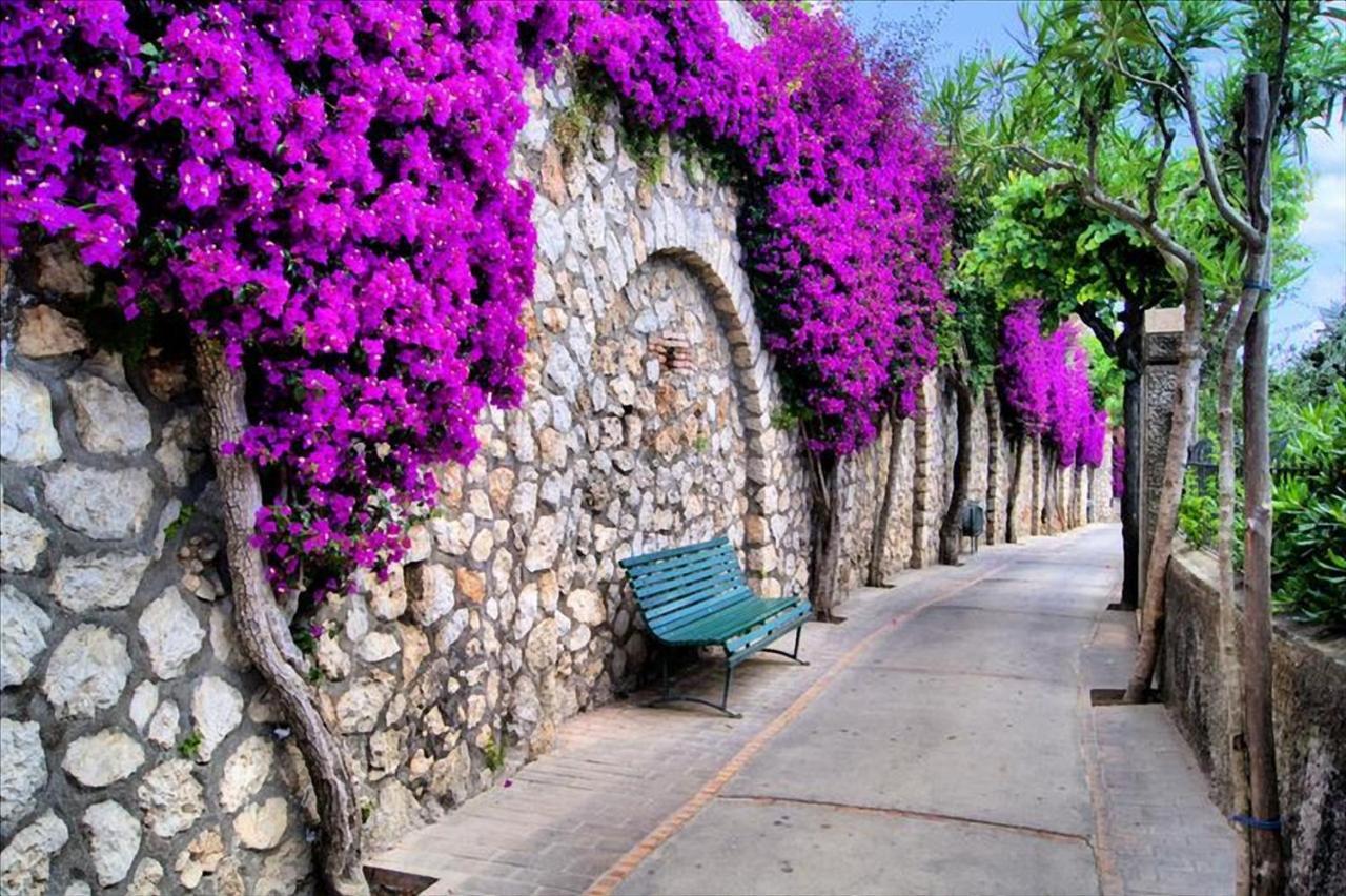 Il Dolce Rifugio Apartment Sorrento Exterior photo